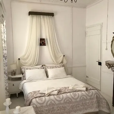 Standart 1 *